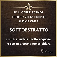 Come riconoscere un buon caffè