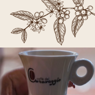 Progetto caffè di qualità